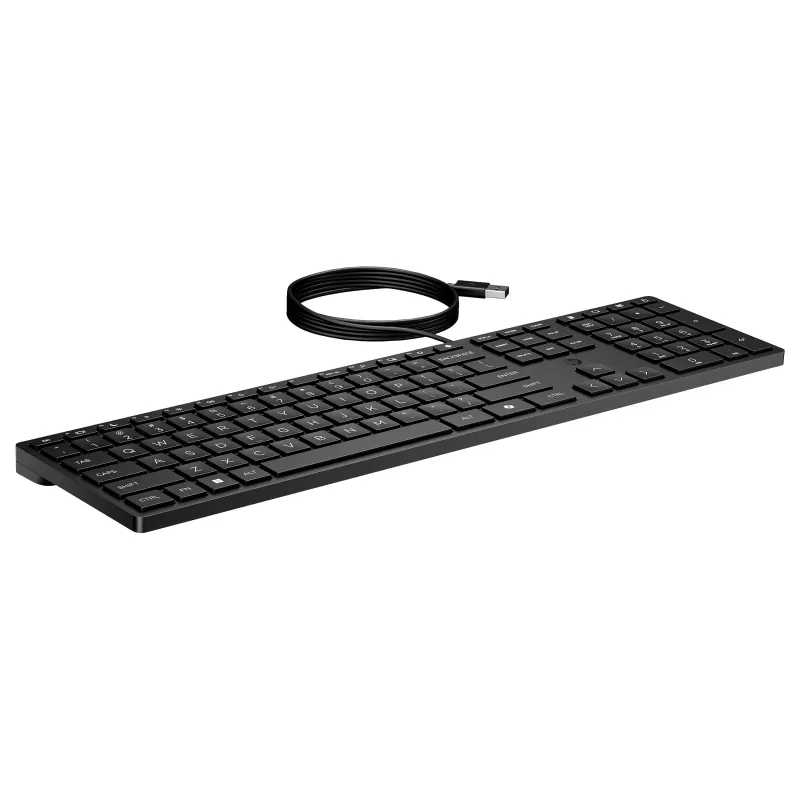 HP Wired 320K toetsenbord Nordic (UK)