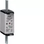 HAGER LNH1100MK NH1C 100A 500V gG smeltpatroon met bovenstuk-indicator, niet scheidbaar