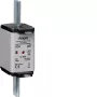 HAGER LNH2080MK NH-smeltpatroon 80A 500V gG maat 2C met kenmelder