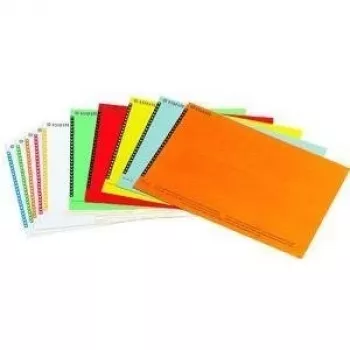 LEITZ Esselte hangmap-etiketten voor kasten, wit, 60 x 12 mm, 100 etiketten (326400)