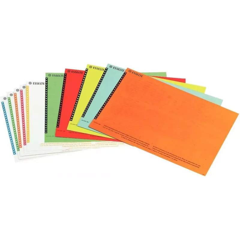 LEITZ Esselte hangmap-etiketten voor kasten, wit, 60 x 12 mm, 100 etiketten (326400)