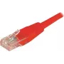 EXERTIS CONNECT Cat.6 U/UTP patchkabel, RJ45, rood, 20 m, met rastnasbescherming 243762