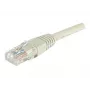 Dexlan RJ-45 Cat6 U/UTP netwerk patchkabel, 2m, grijs 854184