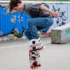 SCHILDKRÖT skateboard Grinder 31 inch Wolf deck compleet skateboard 510682