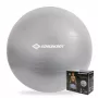 SCHILDKROT gymnastiekbal 65 cm zilver Anti-Burst 960156
