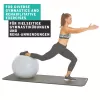SCHILDKROT gymnastiekbal 65 cm zilver Anti-Burst 960156