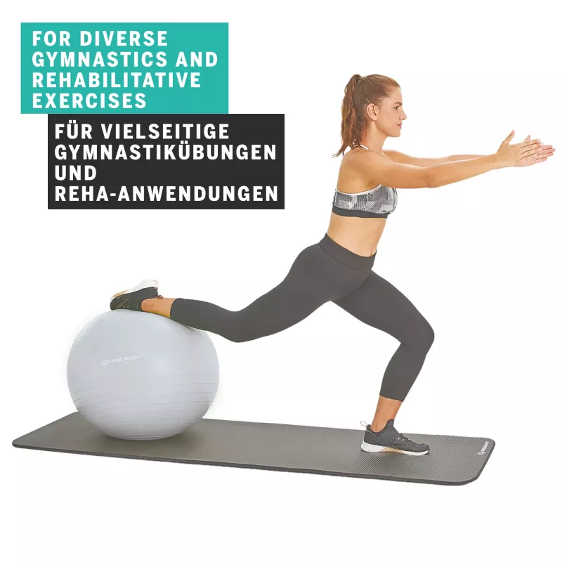 SCHILDKROT gymnastiekbal 65 cm zilver Anti-Burst 960156