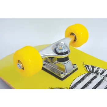 SCHILDKROT skateboard Kicker 78,70 cm (31 inch) Green Dog deck 790 x 200 mm, 9-voudig esdoorn, concave – 1 stuk (510604)