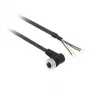 TMSS GERMANY Telemechanique Sensors M12 bus recht 4-polig PUR kabel, 2 m, Zwart XZCP1241L2