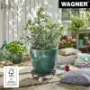 WAGNER design yourself plantenroller GH0558 kunststof, Ø 38,5 cm donkergroen rond, 1 stk. 20055801