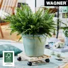 WAGNER design yourself plantenroller GH0037, beukenhout, beige, vierkant, 29 x 29 x 8,3 cm, 100 kg draagvermogen 20003701