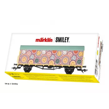 Märklin 048884 DRG G 10 gesloten goederenwagen H0 AC tijdperk II bruin
