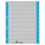 LEITZ A4 lichtblauwe kartonnen tabbladen, 25-pack, universele perforatie 16523030
