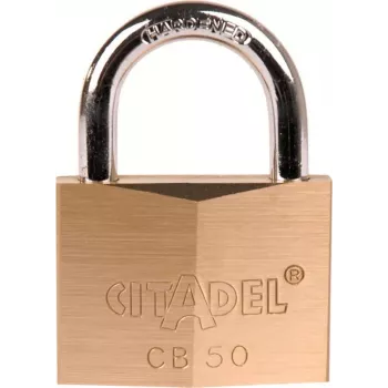 ABUS 60mm hangslot van massief messing met gehard stalen beugel, 2 sleutels (238420)
