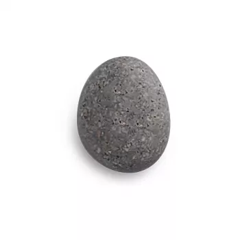 Zeller 6 steenmagneten grijs 2,1 x 1,8 x 1,0 cm (11219)