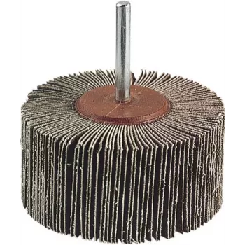 Wolfcraft 2037000 lamellenschuurschijf, 20 mm diameter