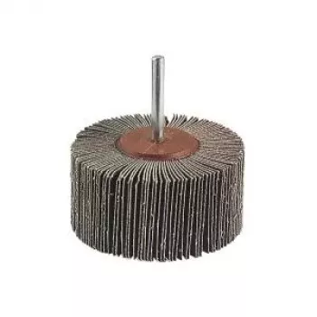 Wolfcraft 2037000 lamellenschuurschijf, 20 mm diameter