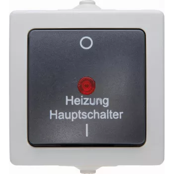 Kopp 565356002 thermoplast zwart-grijs wisselschakelaar, inbouw, 10 A, 250 V AC