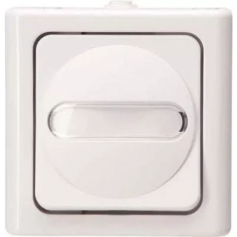 HEINRICH KOPP universele schakelaar BLUE ELECTRIC arktis opbouw vochtige ruimte 10A, 250V (560602007)