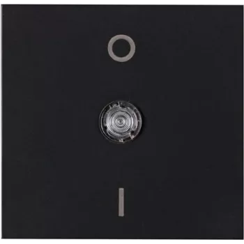 HEINRICH KOPP HK07 platte wip met heldere lens, I-O-markering & veerplaat, matzwart (2-polig, IP20) 491923000