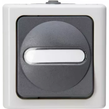 HEINRICH KOPP universeelschakelaar BLUE ELECTRIC grijs opbouw vochtige ruimte 10A, 250V (560656006)