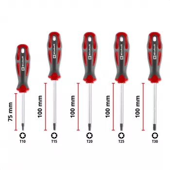 Einhell universele Torx schroevendraaier-set T10-T30, 5-delig, magnetische punten, chroom-vanadiumstaal, ergonomische bi-materiaal grepen, werkplaats & klussen 370537