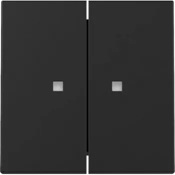Gira System 55 wipafdekking, 2-voudig, voor stuurfunctie, zwart mat 3631005