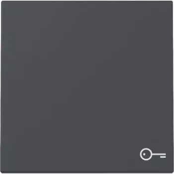 Gira System 55 wipafdekking met deursymbool, antraciet 328728