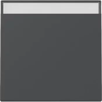 Gira System 55 wip drukknop antraciet mat 329928