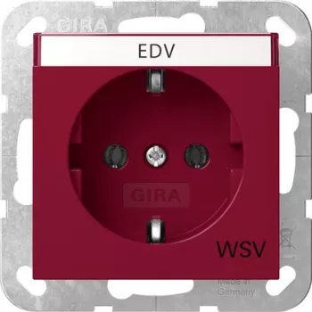 Gira 4457108 SCHUKO-stopcontact met klepdeksel, System 55, reinwit glanzend