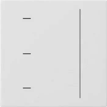 Gira touch-opzet S3000 reinweiß 536527