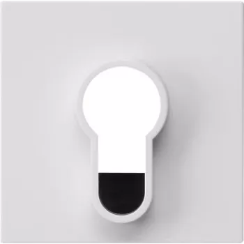 Gira afdekking voor sleutelschakelaar, System 55, reinweiß glanzend, 55 x 55 mm 866403