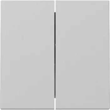 Gira System 55 wip 2-voudig grijs mat 3295015