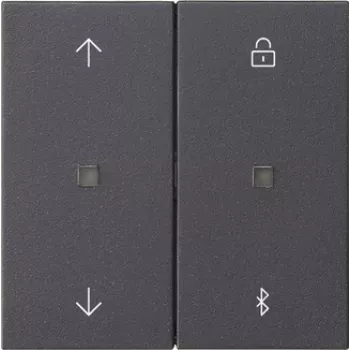 Gira System 3000 jaloezie- en rolluik-tijdschakelklok Bluetooth antraciet 536728