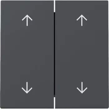 GIRA wip 329728 2-weg pijlen System 55 antraciet