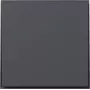 Gira TX44 wipafdekking recht antraciet 349667