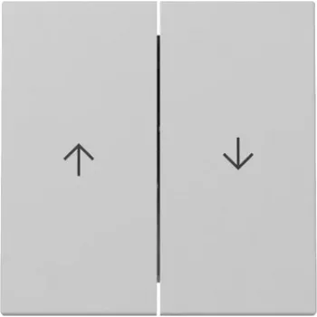 GIRA wip 3294015 2-voudig pijl System 55 grijs mat