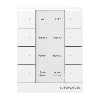 Busch-Jaeger free@home bedieningselement, alpinwit, 2-voudig 2CKA006220A0886