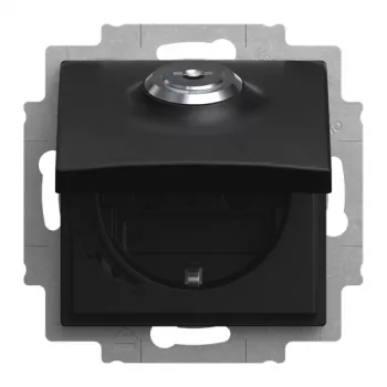 Busch-Jaeger stopcontactinzetstuk 20 EUKBSL-915-101 Schuko 1-voudig inbouw zwart mat 2CKA002018A1589