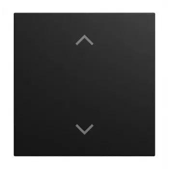 Busch-Jaeger wipafdekking 1-voudig zwart mat 2CKA006199A0548