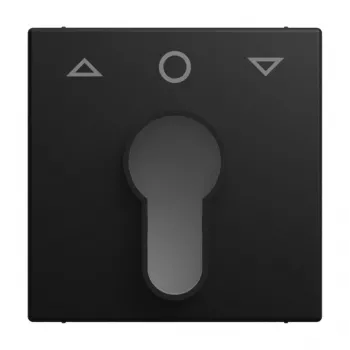 Busch-Jaeger Busch-balance SI centraalplaat met pijl-op/neer-symbool, zwart mat 2CKA001710A4259