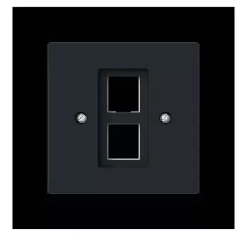 Busch-Jaeger centraalplaat met draagring Modular Jack 2561-02-45M 2CKA001753A9929