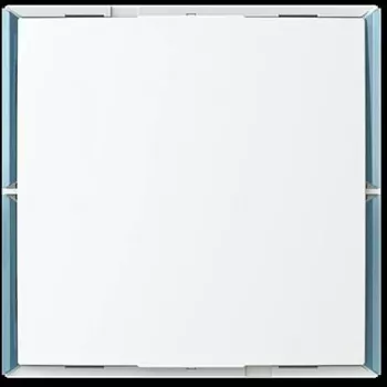 BUSCH-JAEGER keypad bedieningselement 1..4 stuurfuncties KK/U4.55.11 (2CKA006115A0505)