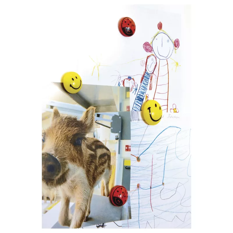 Magnetoplan 16672 Smiley-bordmagneten Ø 30 mm, 6 stuks