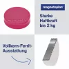 MAGNETOPLAN HOLTZ magneet Ergo Medium 1664018 30mm roze 10 stuks