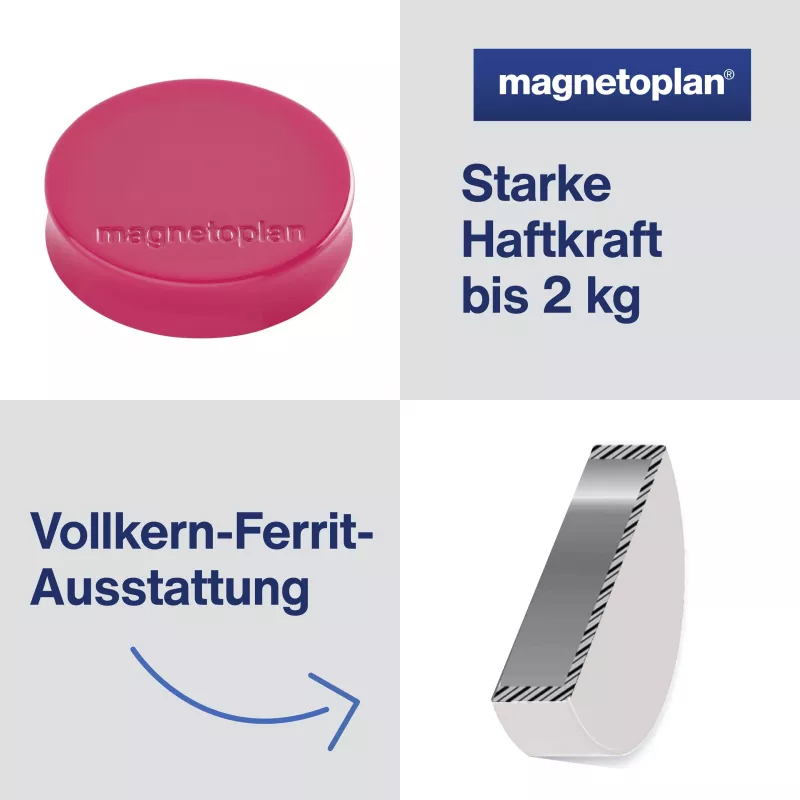MAGNETOPLAN HOLTZ magneet Ergo Medium 1664018 30mm roze 10 stuks