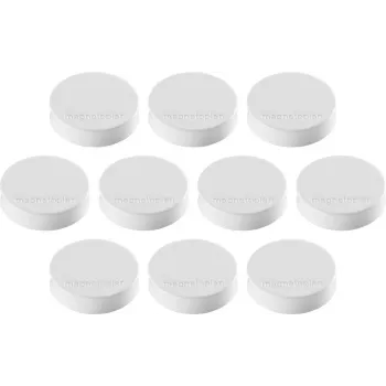 Magnetoplan Ergo-magneten medium witte ferrietmagneet, 30 mm, 1 stuk 1664000