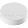 Magnetoplan Ergo-magneten medium witte ferrietmagneet, 30 mm, 1 stuk 1664000