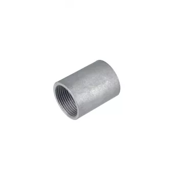 FRAENKISCHE stalen buis schroefkoppeling SM-E-V 50, verzinkt, M50, voor FFS-ES/FFSK-ES-UV 20450050