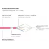 GoodConnections 8070R-400M Cat.7 S/FTP RJ45 patchkabel, PiMF, halogeenvrij, 600 MHz, OFC, RNS-clipbescherming, 40 m, magenta